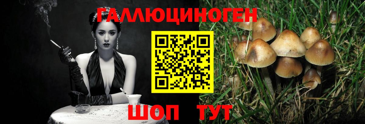 Псилоцибиновые грибы ЛСД  Вход с VPN  Ачинск  Галлюциногенные грибы мухоморы 
